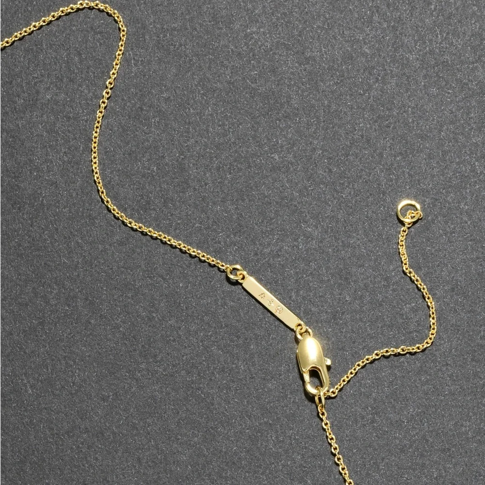 ALEXIS BITTAR • Solanales Crystal Spear Fringe Necklace
